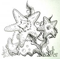 Starfish and Pearls